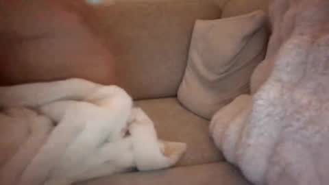 Snapshot of joeybanan chatting on December 2025 08:09:02 AM joeybanan online show from December 2025 08:09:02 AM