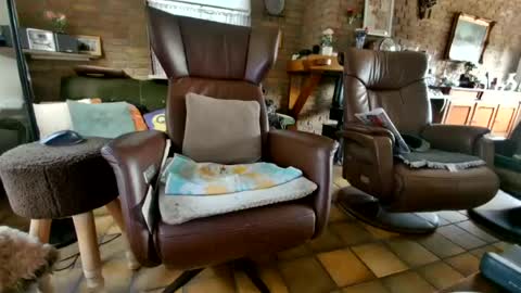 Snapshot of johan7_heet chatting on July 2026 05:00:01 PM johan7 heet online show from July 2026 05:00:01 PM