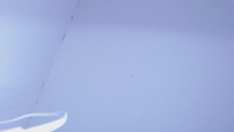 Snapshot of johanleonsweetboy chatting on February 2025 11:28:02 PM JOHAN independient model online show from February 2025 11:28:02 PM