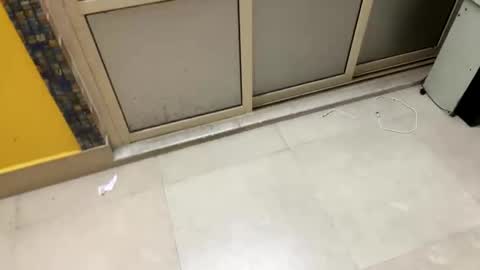 johncockhot online show from March 2026 08:04:02 PM