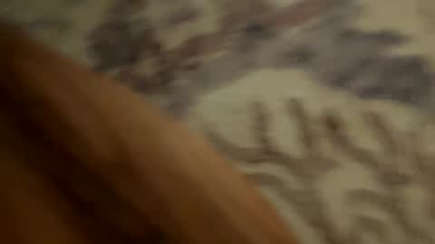 Snapshot of johnny235813 chatting on September 2025 03:52:01 AM johnny235813 online show from September 2025 03:52:01 AM