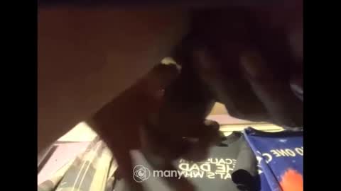 Snapshot of johnnyshung1 chatting on December 2024 07:47:01 AM johnnyshung1 online show from December 2024 07:47:01 AM