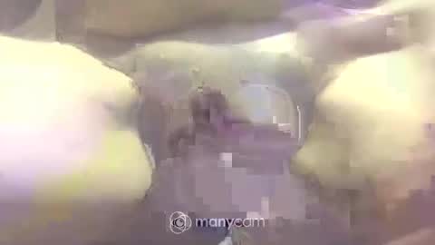 Snapshot of johnnyshung1 chatting on March 2025 05:04:01 PM johnnyshung1 online show from March 2025 05:04:01 PM