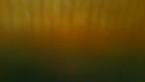 johnnyshung1 online show from December 2025 11:50:01 AM