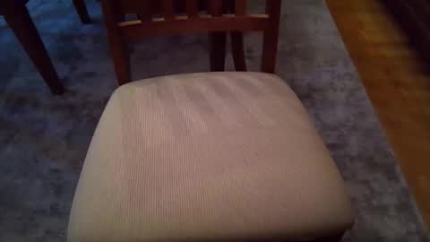 Snapshot of johnxxx549 chatting on December 2025 02:12:02 PM johnxxx549 online show from December 2025 02:12:02 PM