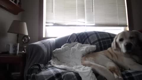 Snapshot of johstondude chatting on November 2025 01:44:02 PM Johston online show from November 2025 01:44:02 PM