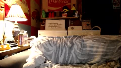 Johston online show from July 2026 02:05:17 AM