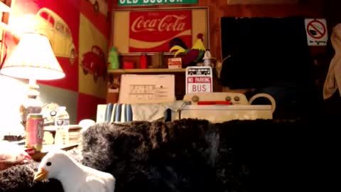 Johston online show from July 2026 01:34:01 AM