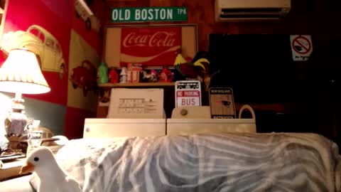 Johston online show from August 2026 04:04:01 AM