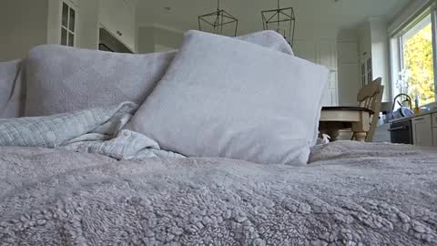 jonesy420xoo online show from October 2025 11:24:02 PM