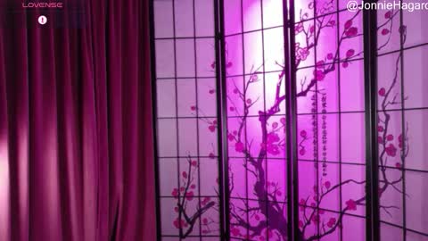 Snapshot of jonniehagard chatting on December 2025 12:30:01 AM Jonnie Hagard online show from December 2025 12:30:01 AM