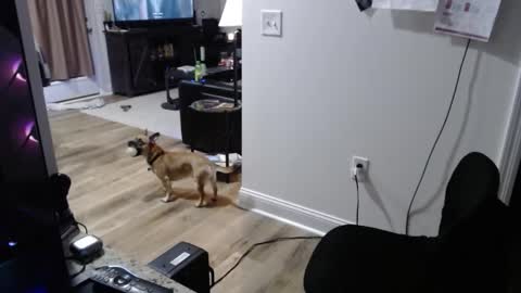 Snapshot of josefturner1 chatting on January 2026 02:05:02 AM Josef online show from January 2026 02:05:02 AM