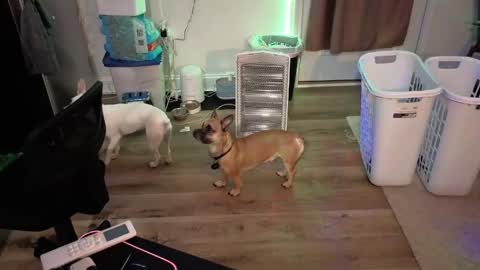 Josef online show from April 2026 05:21:01 AM