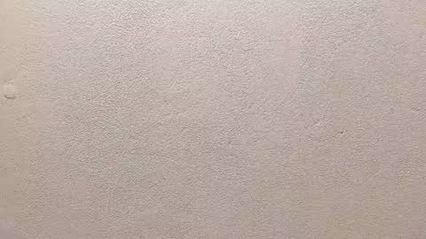 joseph palacios online show from September 2025 06:51:01 PM