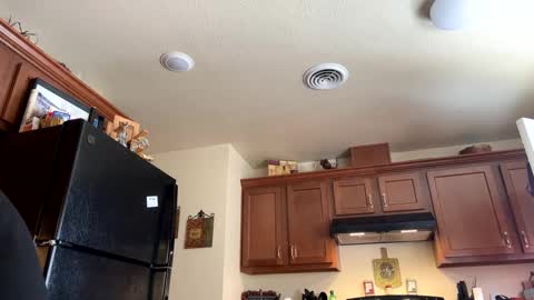 Snapshot of josephung1 chatting on January 2025 08:22:01 PM sissy josphine online show from January 2025 08:22:01 PM