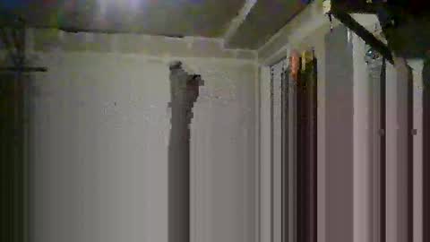 Snapshot of josephung1 chatting on October 2025 06:36:02 AM sissy josphine online show from October 2025 06:36:02 AM