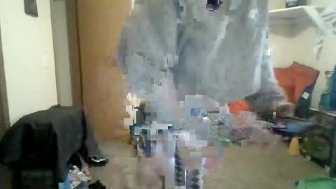 sissy josphine online show from March 2026 07:20:02 PM