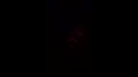 Snapshot of josephwalsh334 chatting on April 2026 07:31:01 AM josephwalsh334 online show from April 2026 07:31:01 AM