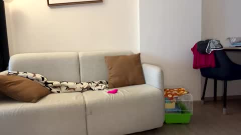 josh_xo online show from November 2025 12:25:01 AM