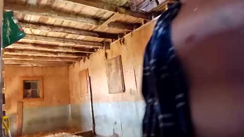 joshnewman540 online show from September 2025 07:02:02 PM