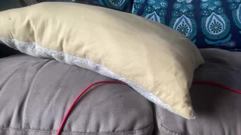 Snapshot of joshperrygoon chatting on December 2024 07:29:02 PM joshperrygoon online show from December 2024 07:29:02 PM