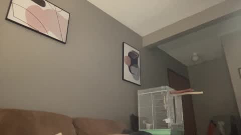 Snapshot of joshperrygoon chatting on January 2025 04:52:01 AM joshperrygoon online show from January 2025 04:52:01 AM