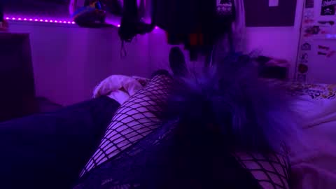 Snapshot of jrod11229 chatting on October 2025 02:30:02 AM jrod11229 online show from October 2025 02:30:02 AM