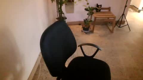 juan235665 online show from July 2026 10:03:01 PM