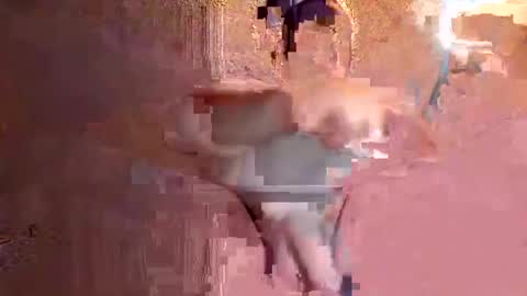 juan575390 online show from December 2024 01:07:02 AM