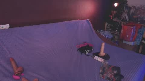 Arina online show from January 2025 07:41:02 PM