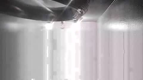 Carlos online show from December 2024 07:43:01 AM