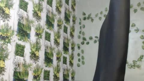 Mariagold online show from December 2024 11:58:01 AM