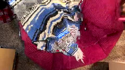 Snapshot of juish5521 chatting on December 2024 03:03:01 PM Juish5521 online show from December 2024 03:03:01 PM