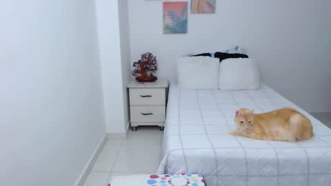 Snapshot of julia_gray_ chatting on December 2024 07:11:01 PM julia online show from December 2024 07:11:01 PM