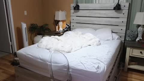 Texas Mamasita online show from December 2025 03:04:02 AM