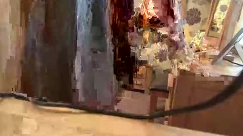 brian online show from November 2025 01:56:02 PM