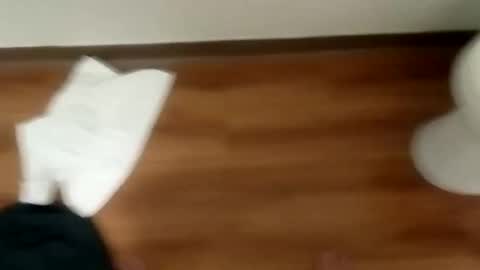 manolito online show from January 2025 12:06:02 PM