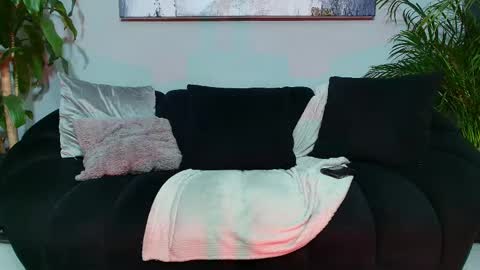 junniormontaner online show from February 2025 05:34:02 AM