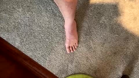 Snapshot of justanudedude chatting on December 2024 01:38:02 PM justanudedude online show from December 2024 01:38:02 PM