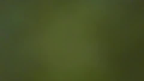 Snapshot of justbuff4 chatting on January 2025 05:10:01 PM McKeefer online show from January 2025 05:10:01 PM