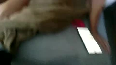 Ella Mae online show from July 2026 12:21:02 AM