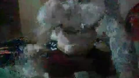 justjay222222222 online show from April 2026 05:41:01 AM