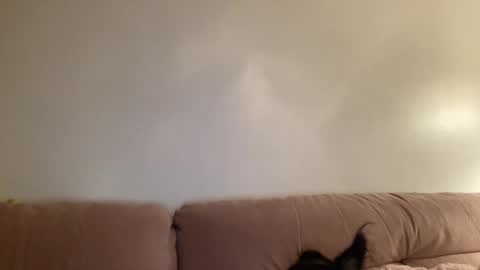 Jess online show from March 2026 04:36:02 AM