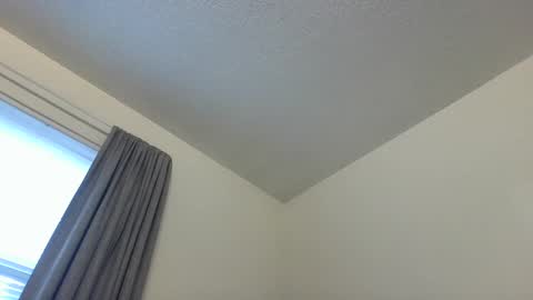 Cookie Monster online show from December 2024 12:56:01 PM