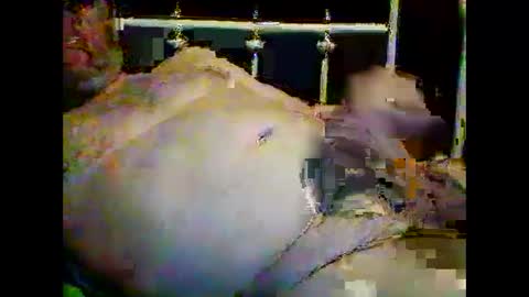 justpervfun online show from January 2025 12:41:01 AM