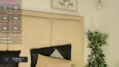 Snapshot of jvenuss chatting on January 2025 10:48:01 PM ees 3 online show from January 2025 10:48:01 PM