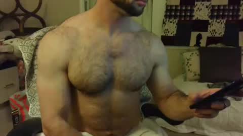 Wolf online show from February 2025 02:50:02 AM