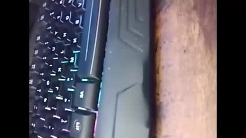 Snapshot of kabriggs137 chatting on March 2025 07:59:02 PM kabriggs137 online show from March 2025 07:59:02 PM