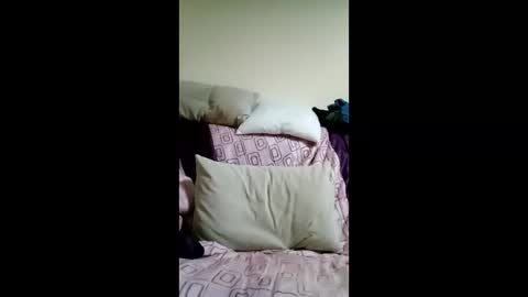 kactuses online show from December 2025 06:15:01 PM