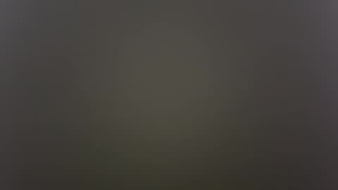 Snapshot of kailaxxxkandy chatting on October 2025 08:49:01 AM Anime Goth Kaila Kitty Kandy online show from October 2025 08:49:01 AM